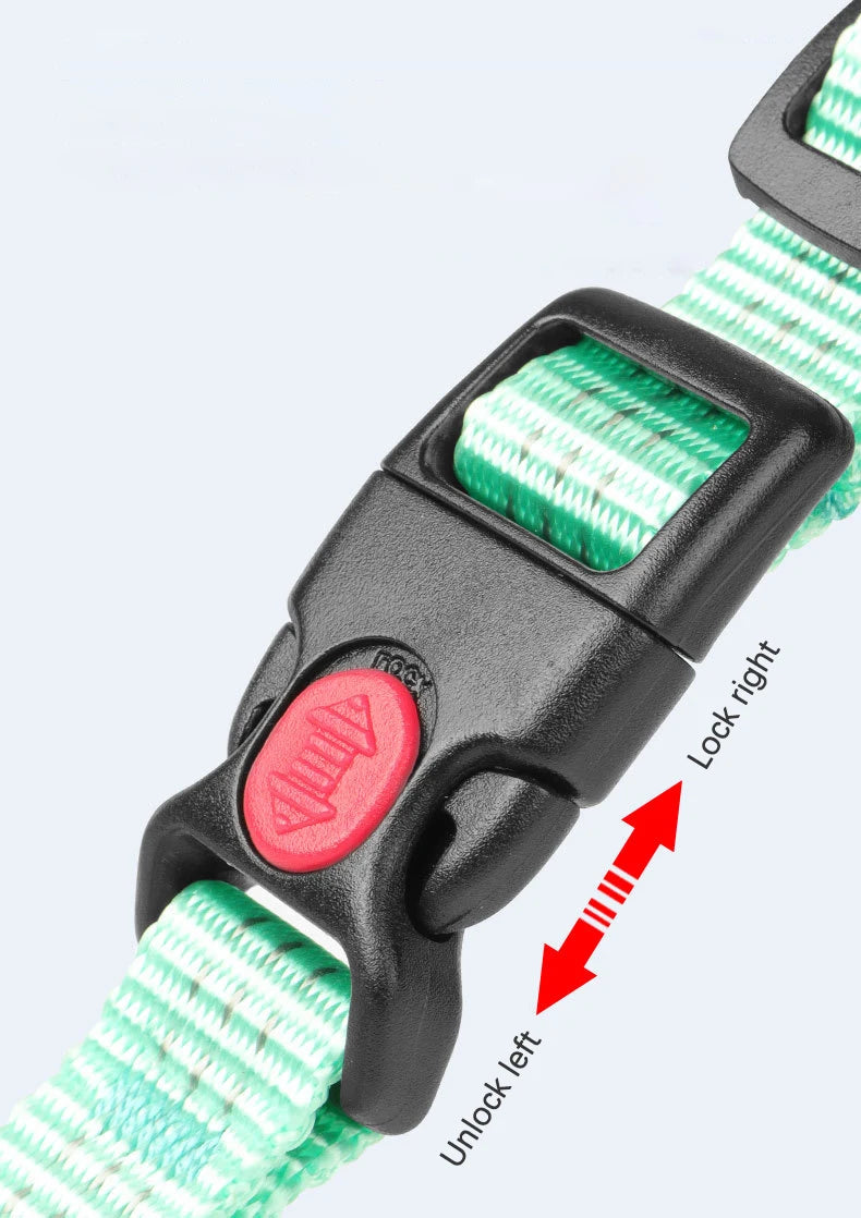 Harnais Type H en Nylon avec 2 Anneaux D - Léger, Anti-Traction