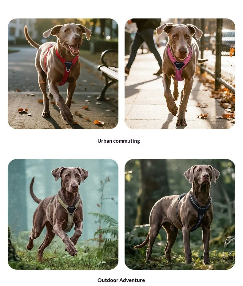 Harnais Anti-Traction Souple et Résistant pour Chien