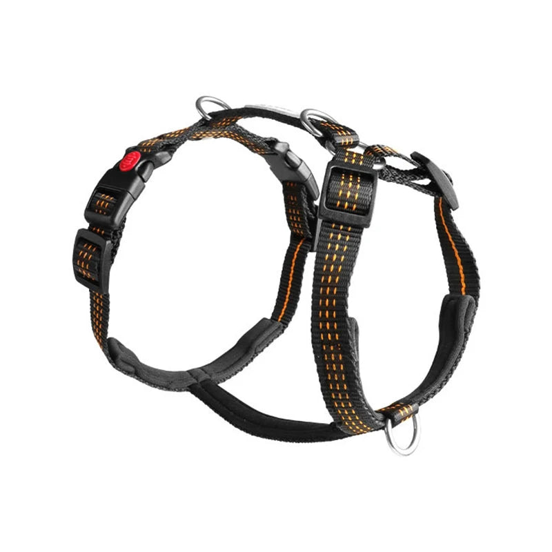 Harnais Type H en Nylon avec 2 Anneaux D - Léger, Anti-Traction