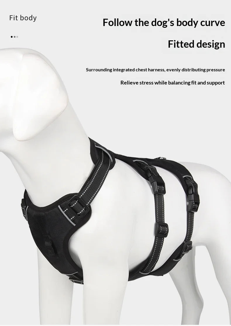 Harnais Anti-Évasion Grand Chien - Laisse Oxford Incluse