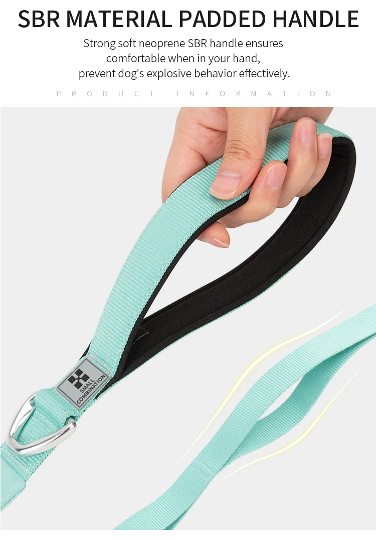 Ensemble Harnais et Laisse Anti-Traction pour Grand Chien