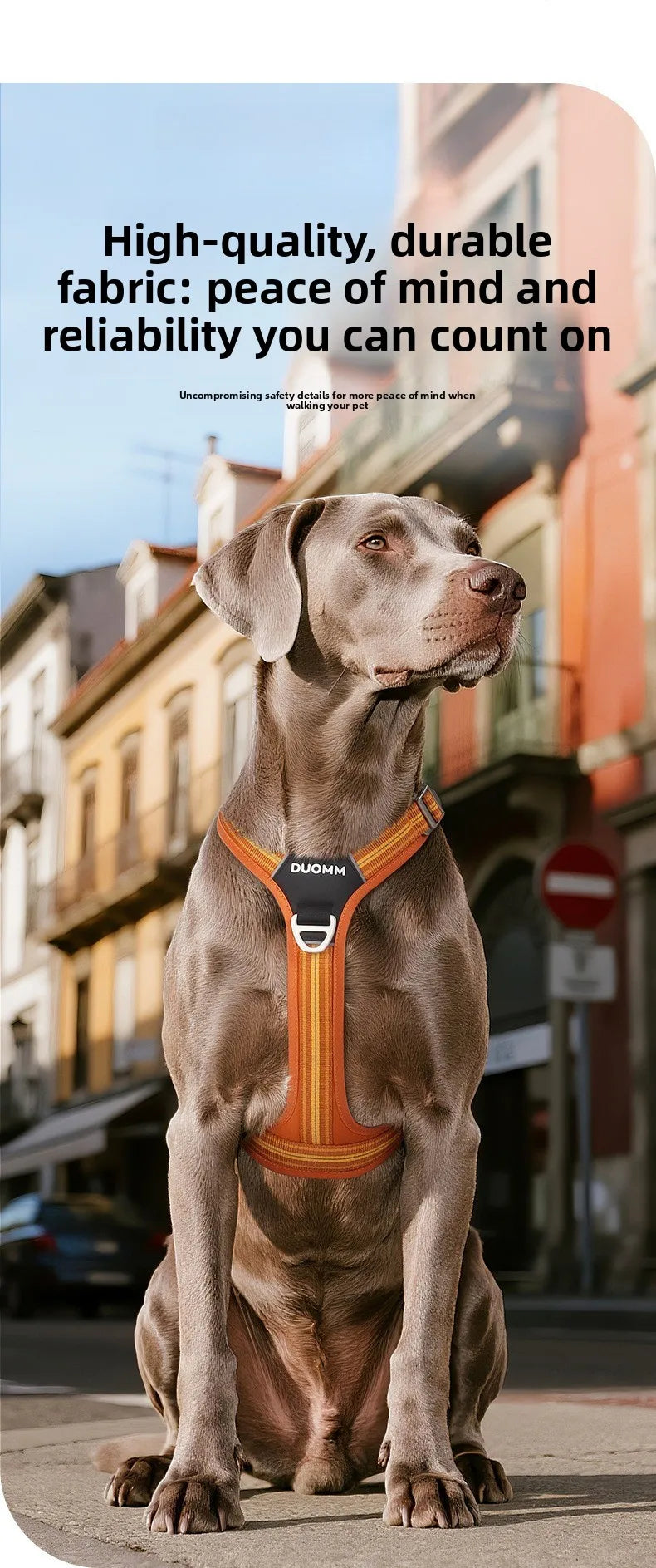 Harnais de Sécurité Double Poignée pour Chien - Dégagement Rapide