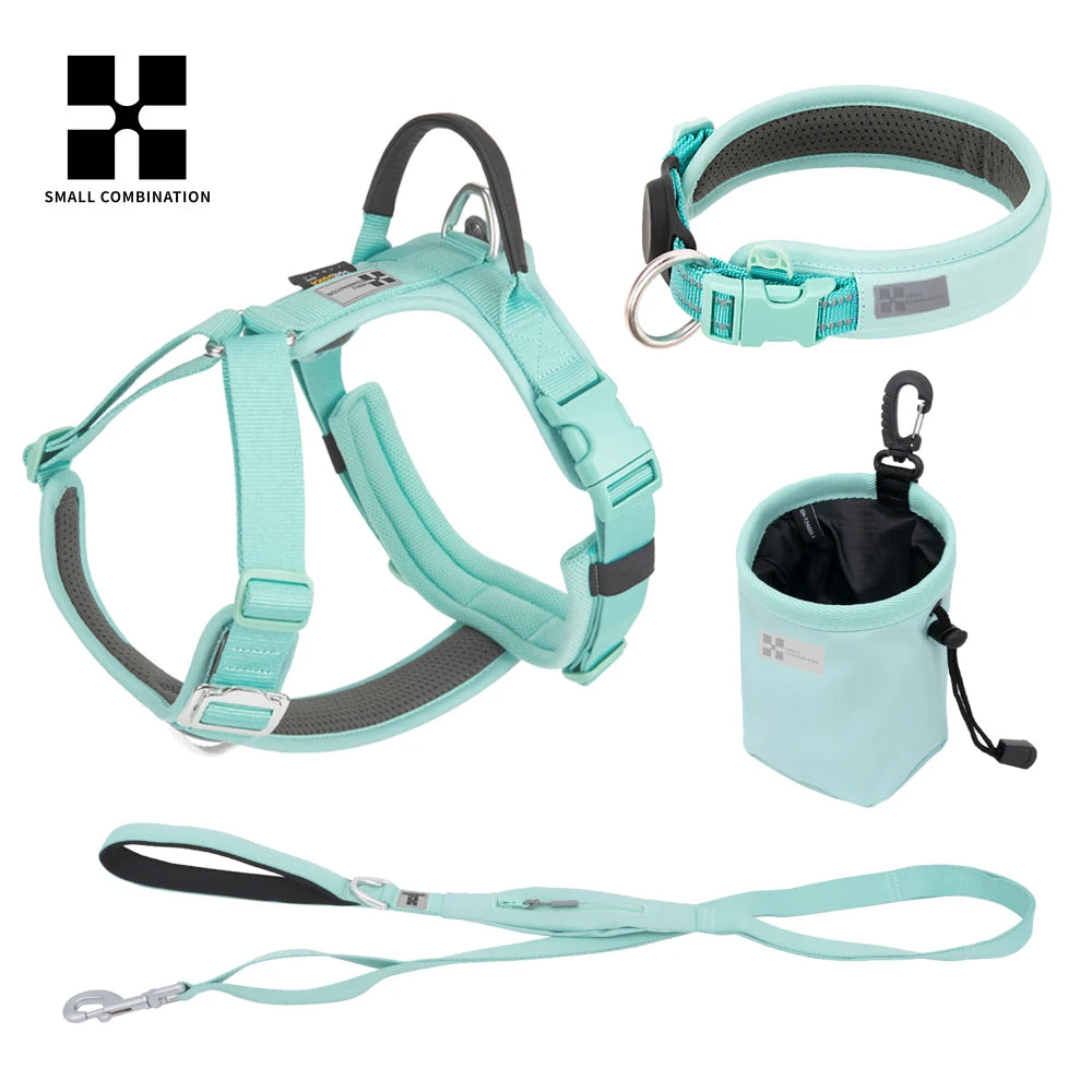 Ensemble Harnais et Laisse Anti-Traction pour Grand Chien