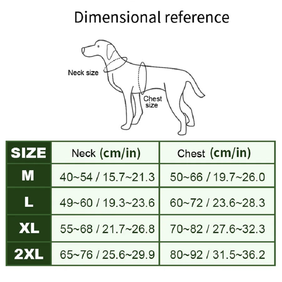 Ensemble Harnais et Laisse Extérieur pour Chien Moyen/Grand