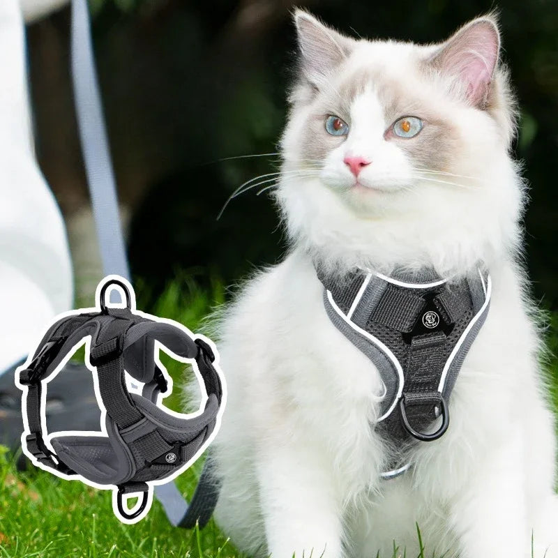 Ensemble Harnais et Laisse Sans Traction pour Petit Chien et Chat