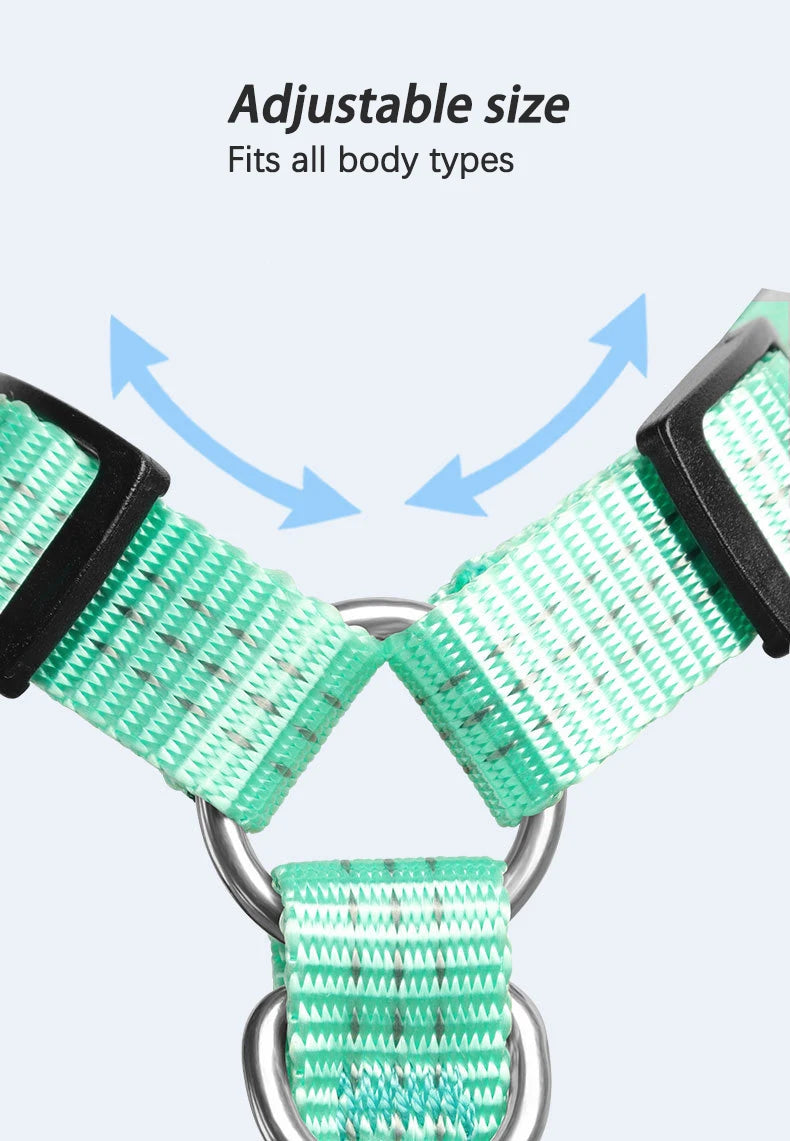 Harnais Type H en Nylon avec 2 Anneaux D - Léger, Anti-Traction