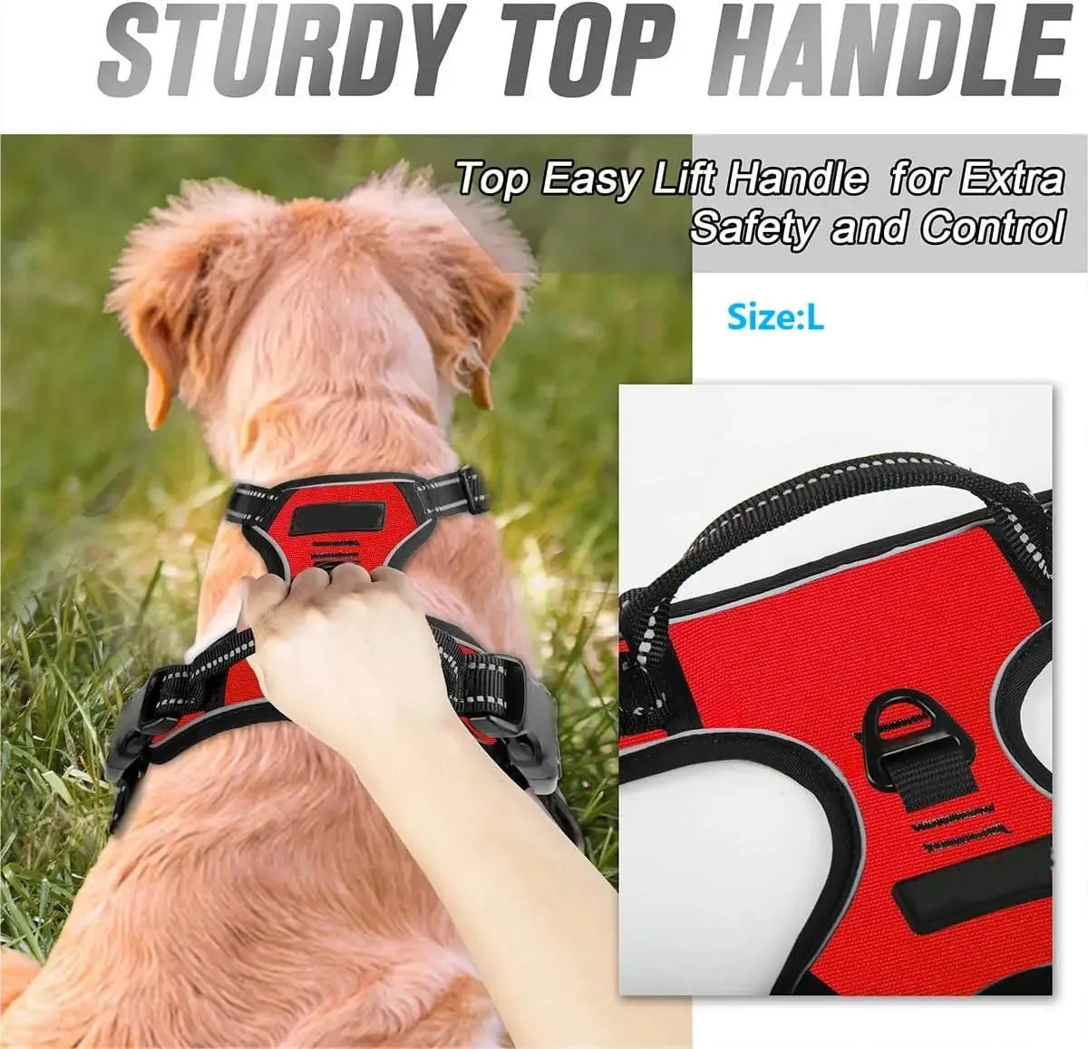 Ensemble Colliers, Harnais et Laisse en Cuir pour Chiot - Petit/Moyen Chien