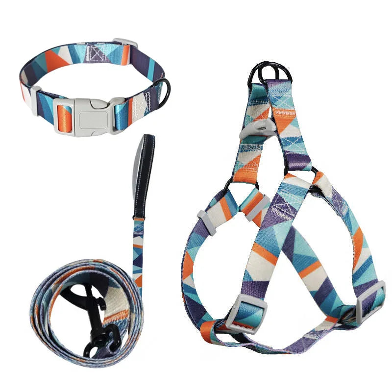 Ensemble Trois Pièces Abstrait pour Chien - Harnais, Laisse, Collier