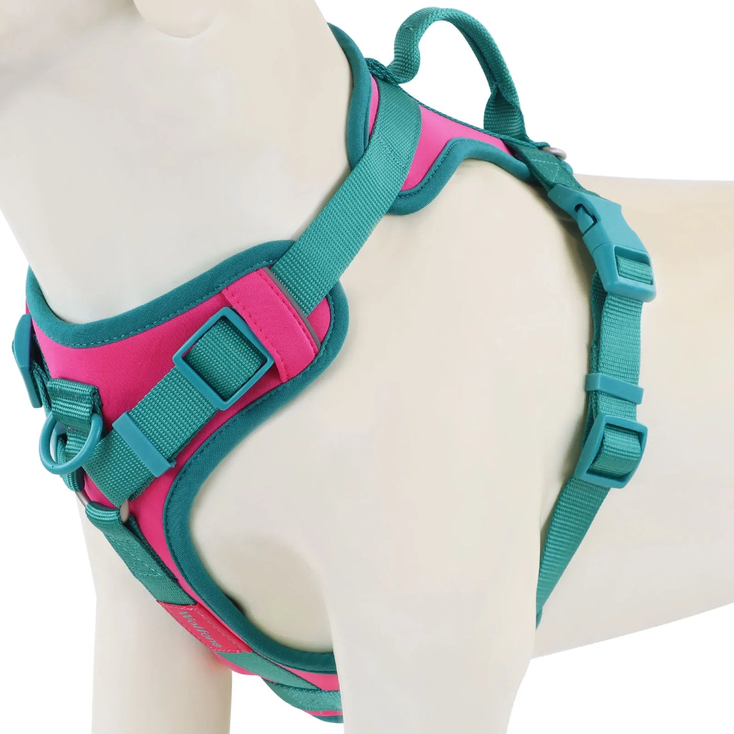 Harnais Personnalisable Anti-Traction pour Chien - Contrasté
