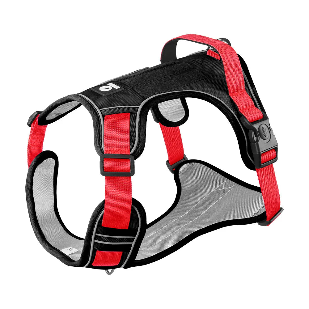 Harnais Type Veste pour Chien - Toutes Races, Résistant aux Chocs
