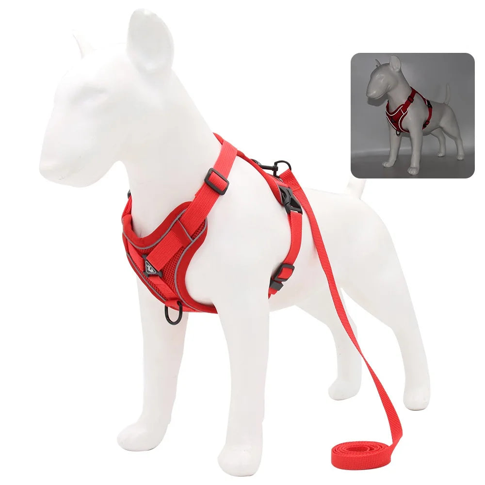 Ensemble Harnais et Laisse pour Petit Chien - Bouledogue, Carlin, Chiot