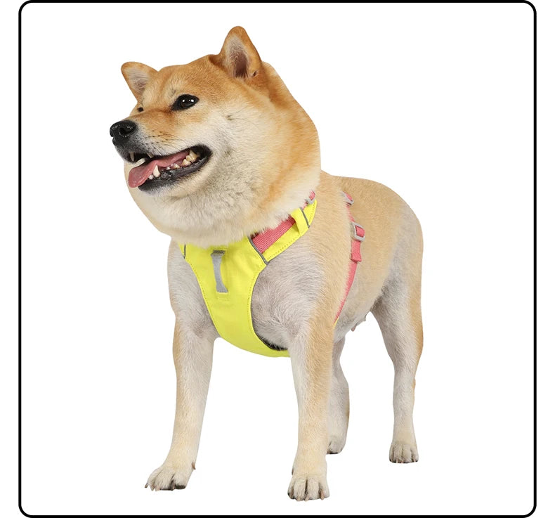 Harnais Anti-Évasion Léger Imperméable pour Chien Moyen - Réfléchissant