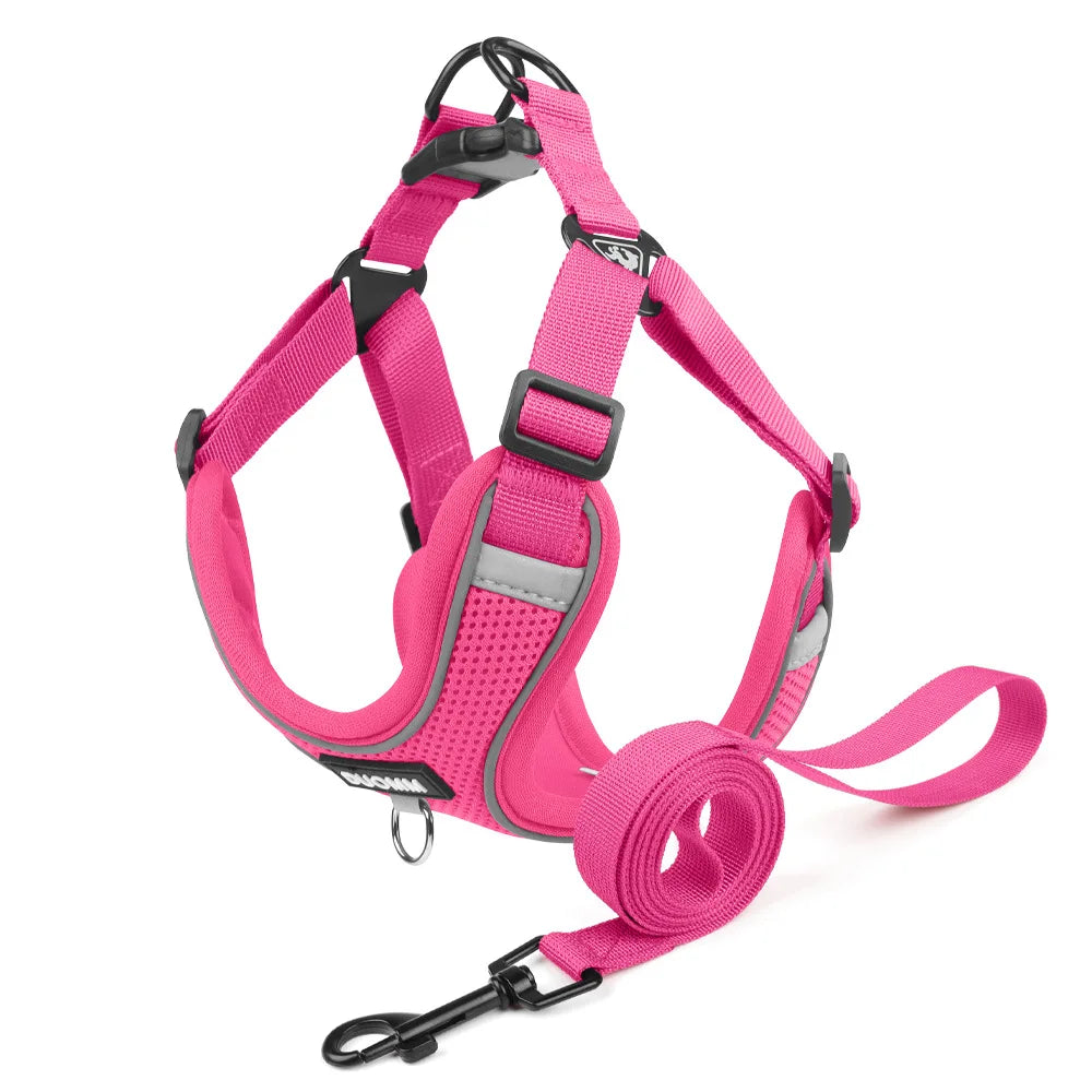 Ensemble Harnais et Laisse Classique et Doux pour Chien - Toutes Races