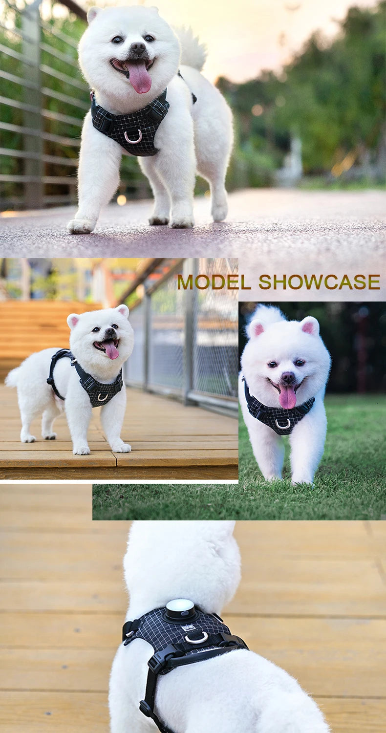 Harnais LED avec Support de Suivi - 19 Modes, Chien et Chat