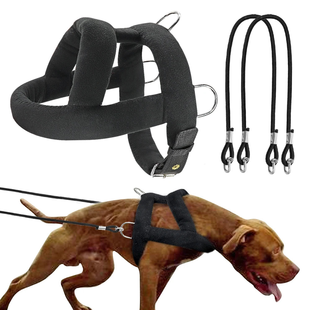 Harnais Gilet Léger Réglable pour Chien Moyen/Grand - Sans Traction