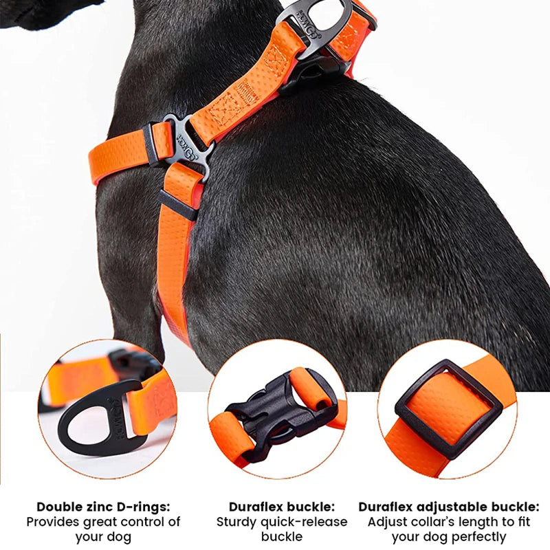 Harnais Réglable Étanche pour Chien - Sans Traction, Toutes Tailles