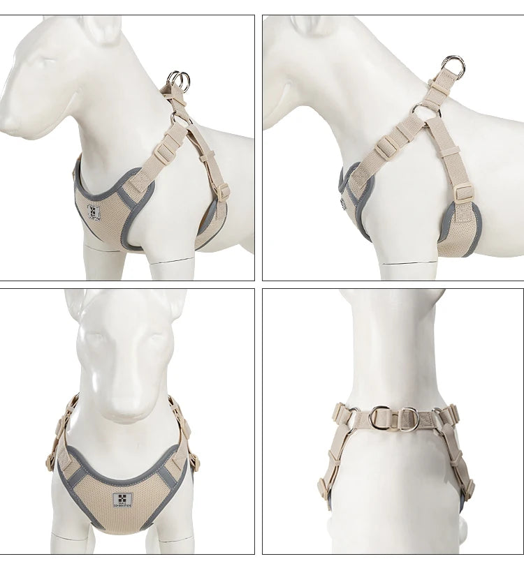Ensemble Harnais et Laisse Réglable pour Chat et Petit Chien