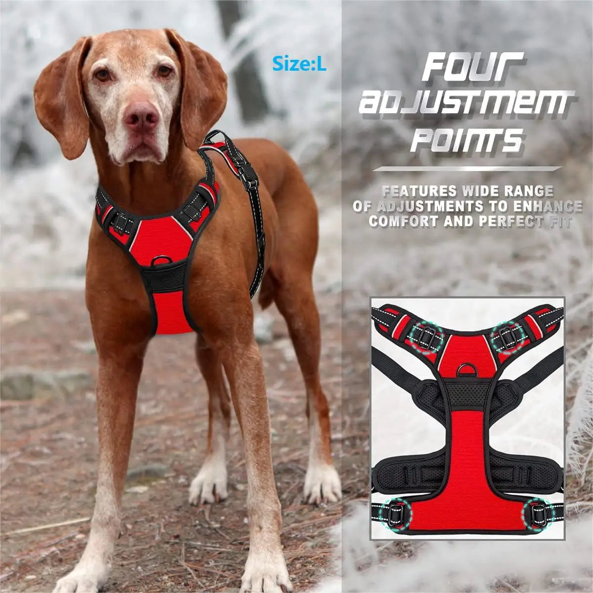 Harnais Clip Avant Sans Traction pour Grand Chien - Robuste, Réfléchissant