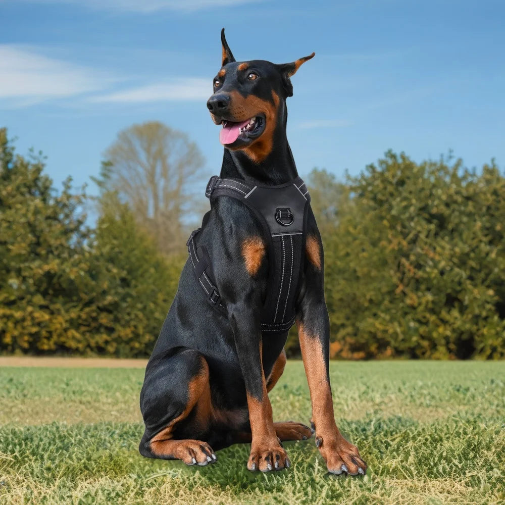 Harnais Anti-Traction Rembourré pour Chien - Poignée, Réfléchissant