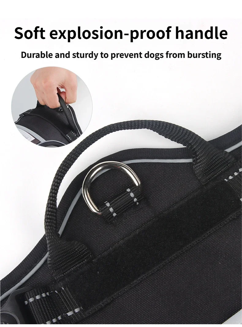 Harnais Type Veste pour Chien - Toutes Races, Résistant aux Chocs