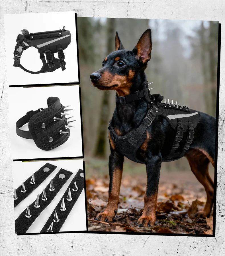 Harnais Tactique Robuste Réfléchissant pour Chien - Entraînement