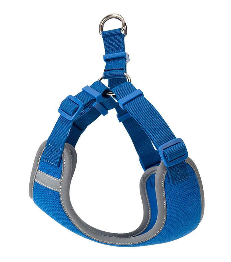 Ensemble Harnais et Laisse Réglable pour Chat et Petit Chien
