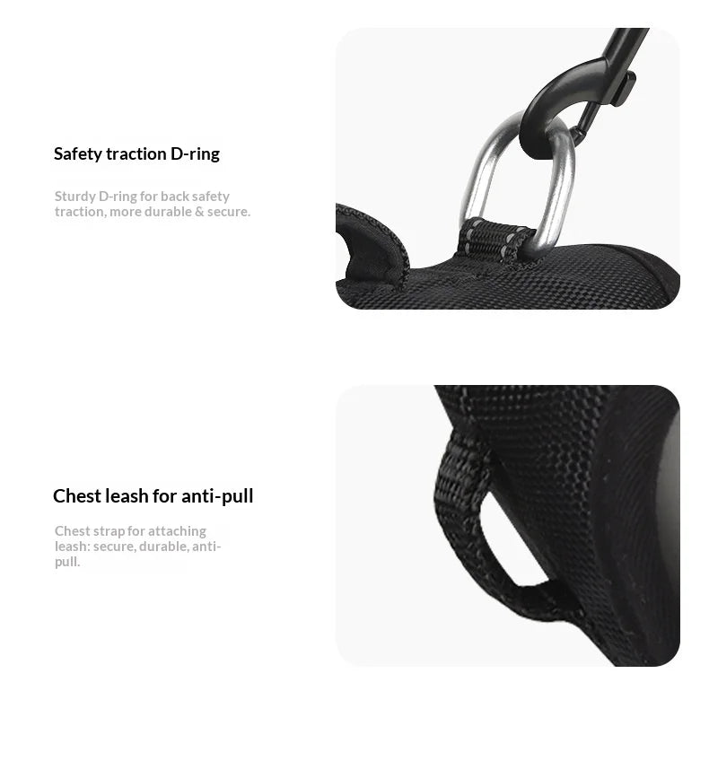 Harnais Anti-Évasion Grand Chien - Laisse Oxford Incluse