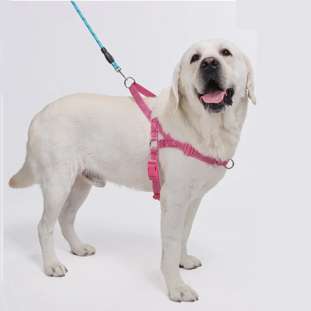 Harnais Coloré Anti-Traction pour Grand Chien - Poignée