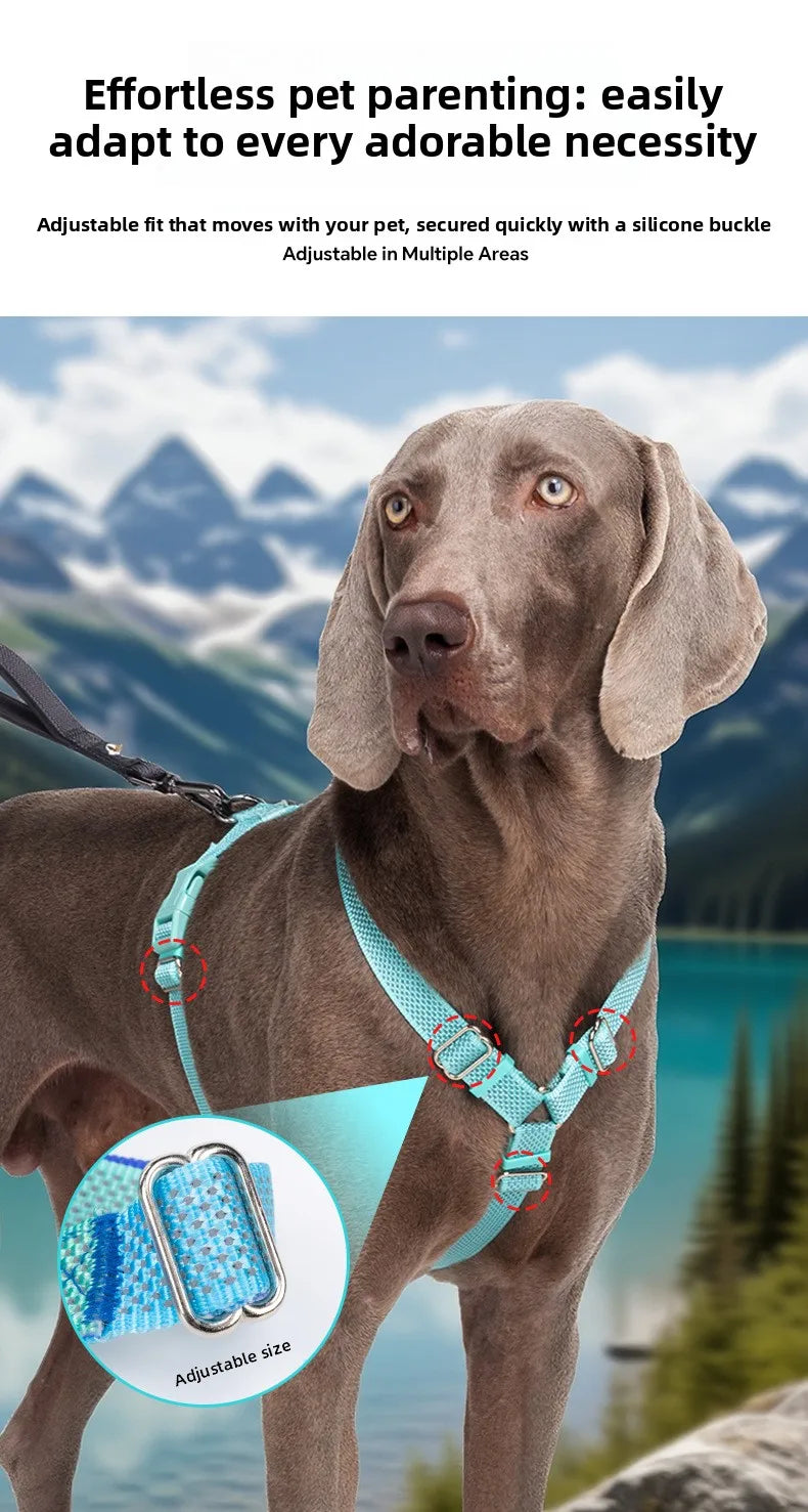 Harnais Anti-Traction Nid d'Abeille pour Chien - Respirant et Sécurisé