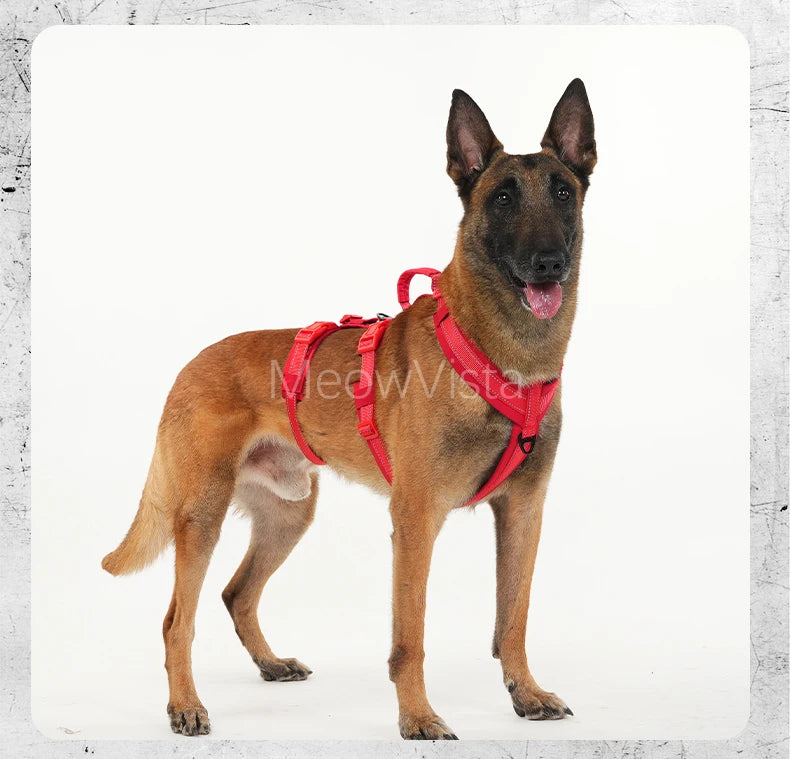 Harnais Robuste Rembourré Anti-Traction pour Chien Moyen/Grand