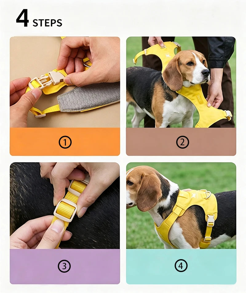 Harnais et Laisse Légers Anti-Traction pour Chien - Toutes Tailles
