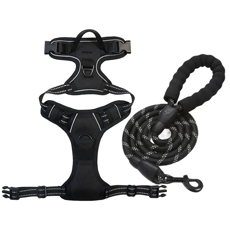 Harnais et Laisse Corde Nylon pour Grand Chien
