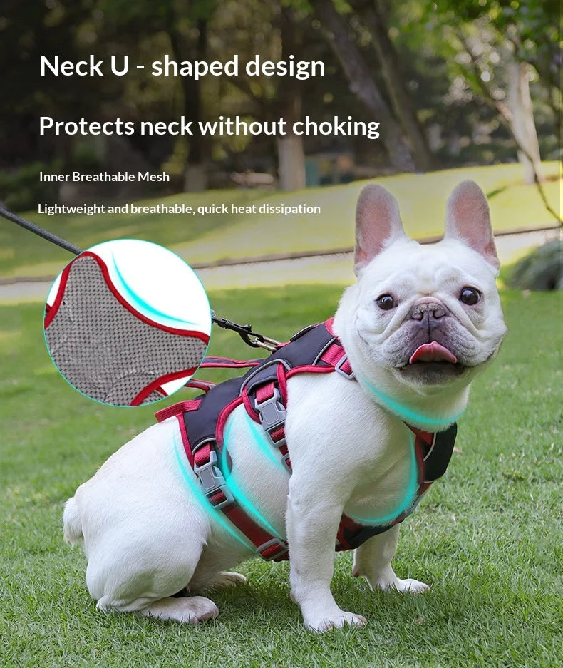Harnais Anti-Évasion 3 Sections pour Grand Chien - Style Gilet
