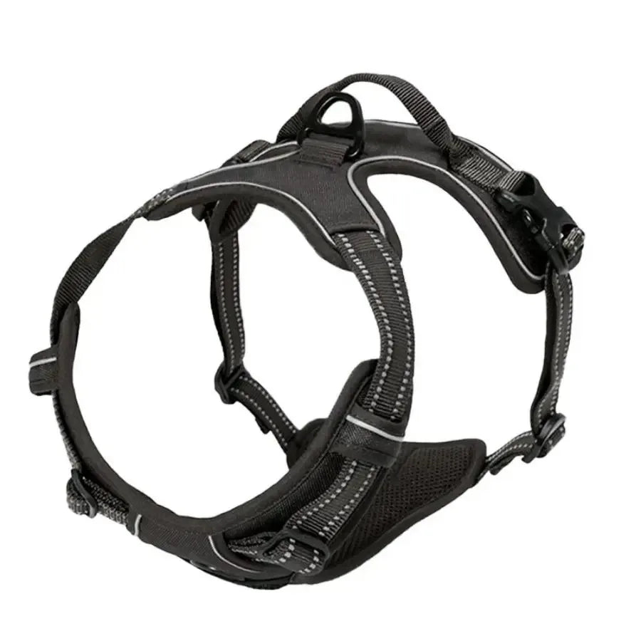 Ensemble Colliers, Harnais et Laisse en Cuir pour Chiot - Petit/Moyen Chien