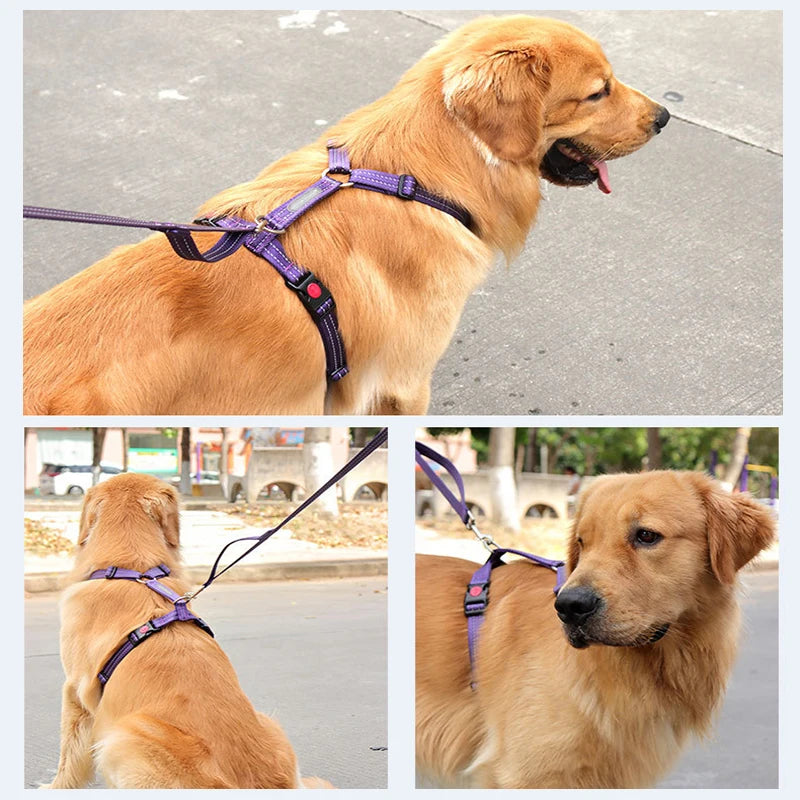 Harnais Anti-Évasion Type H pour Chien - Lavable, Réglable