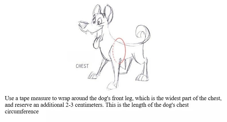Ensemble Collier, Harnais et Laisse Réfléchissants pour Grand Chien