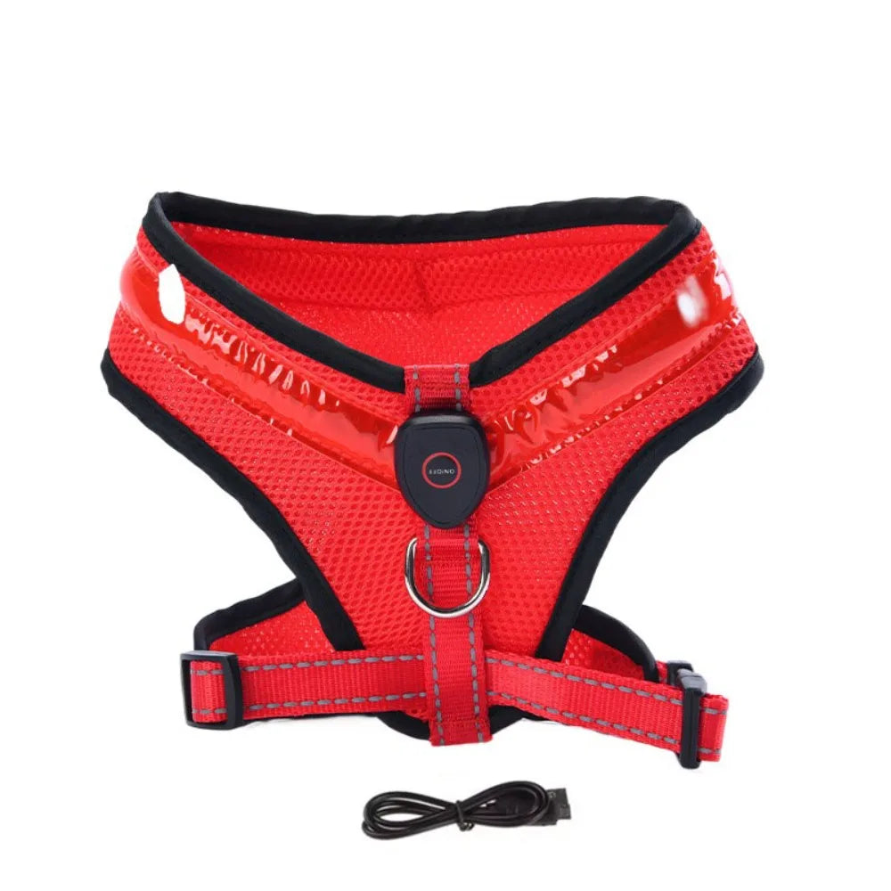 Harnais LED Lumineux Rechargeable pour Chien - Sorties Nocturnes