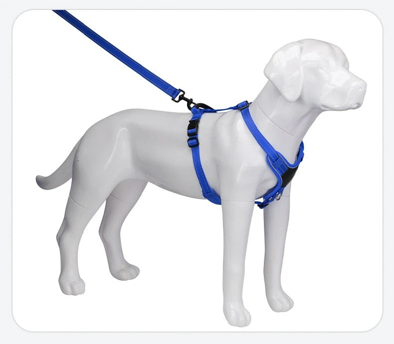 Harnais Forme I Anti-Évasion pour Chien - Enfilage Rapide