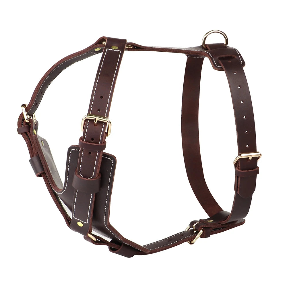 Harnais en Cuir Véritable pour Grand Chien - Poignée Réglable