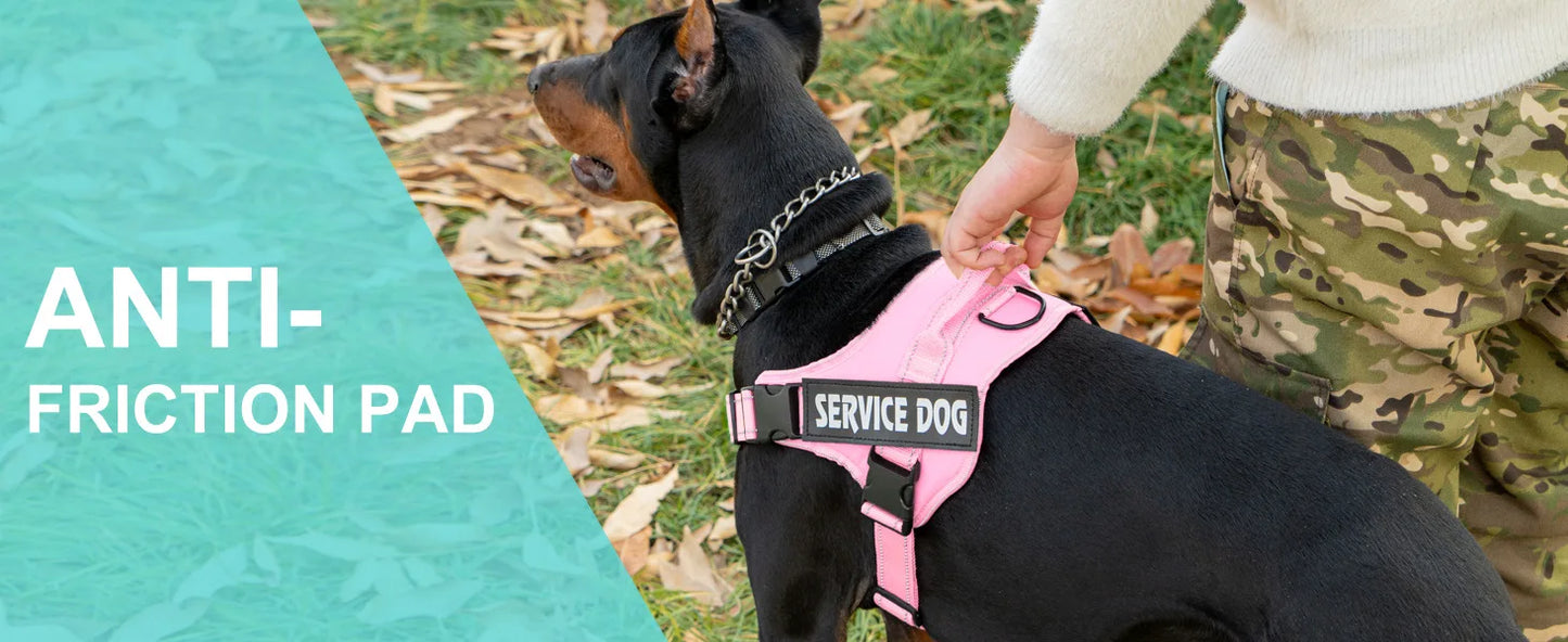 Harnais Personnalisé pour Chien - Étiquette Nom, Respirant