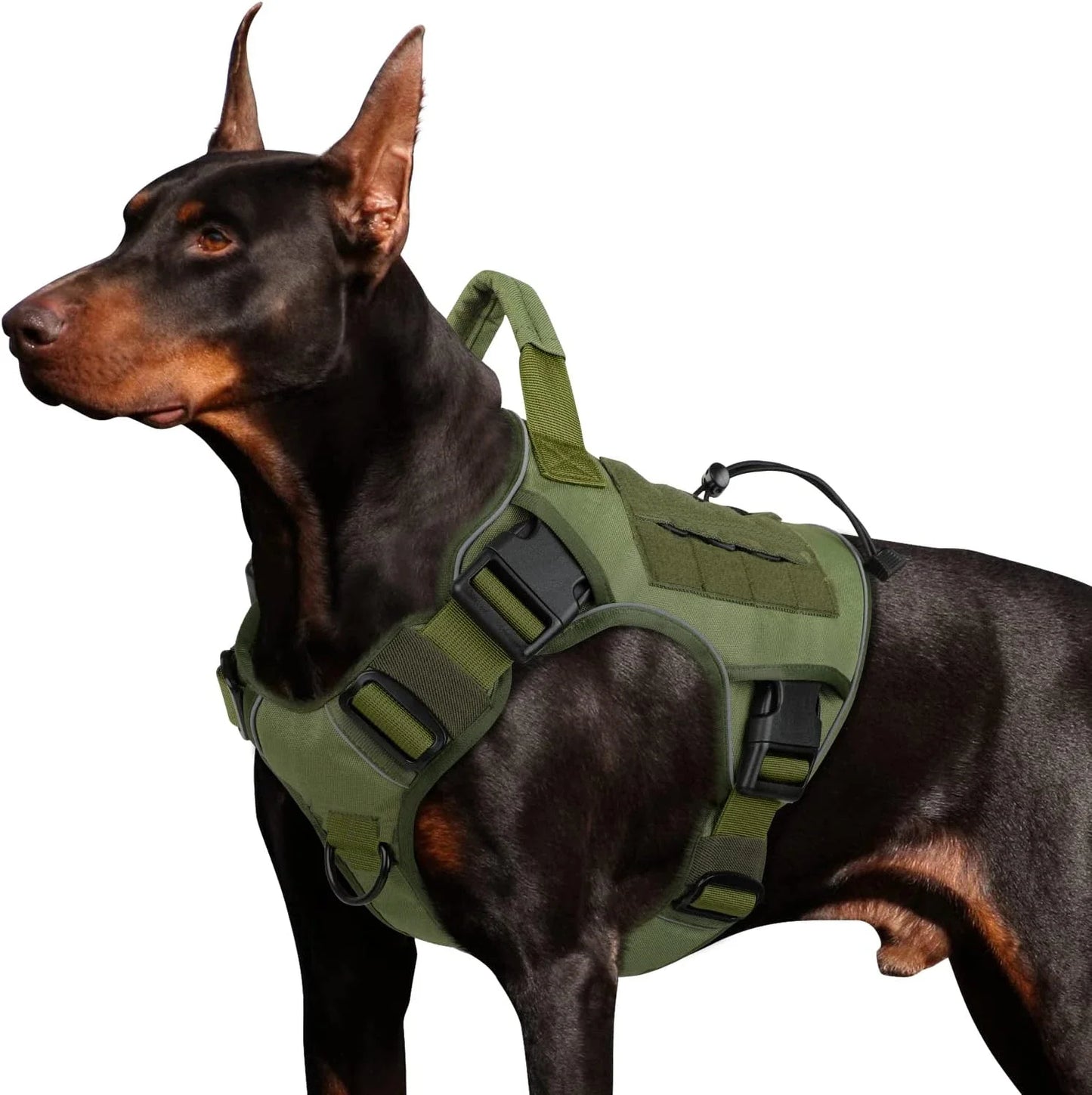 Harnais Tactique Militaire Sans Traction pour Labrador et Grand Chien