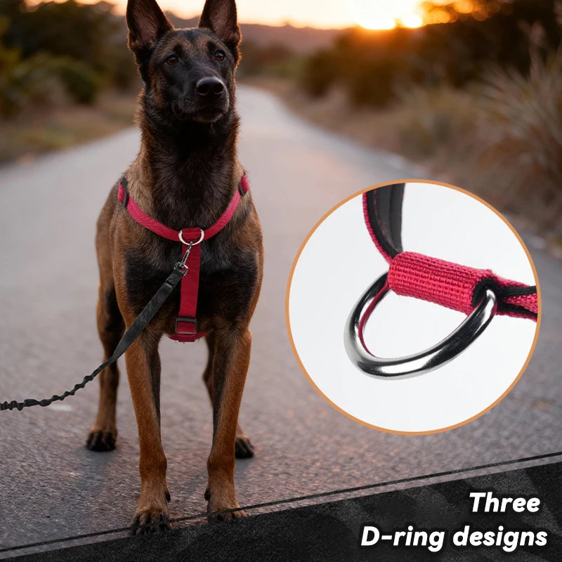 Harnais Anti-Traction Nylon pour Grand Chien - Entraînement