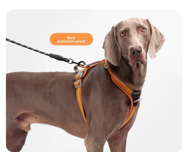 Harnais à Double Poignée pour Chien - Dégagement Rapide